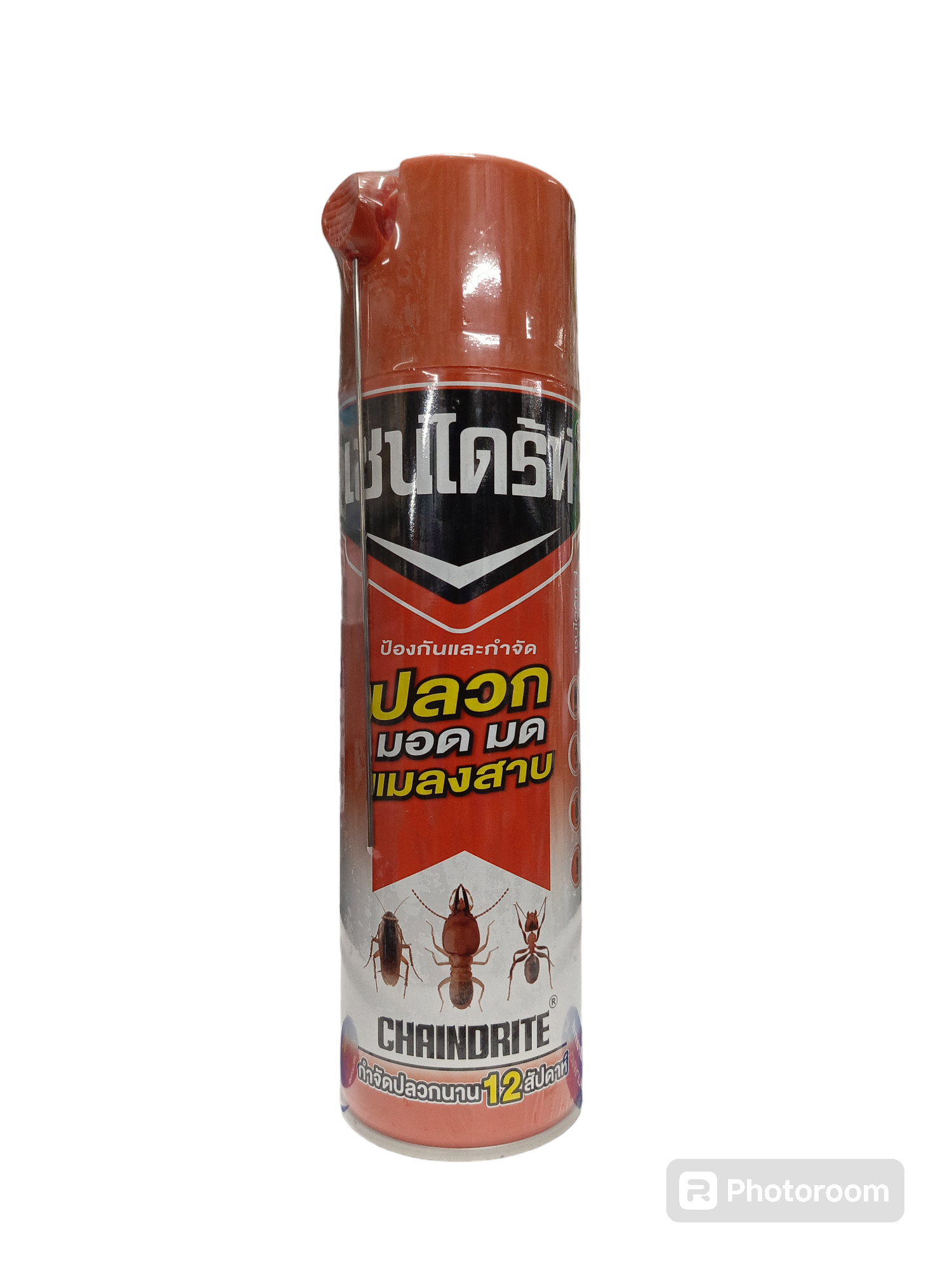 CHAINDRITEเชนไดร้ทสเปรย์กำจัดปลวก 450ซี.ซี. แบรนด์ CHAINDRITE - ฮาร์ดแวร์ ราคา 89 บาท