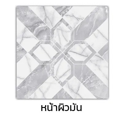 DYNASTY กระเบื้อง 40*40 นกรามัญ เทา (D) (6ผ/1 ตร.ม/กล่อง) - ภาพที่ 5