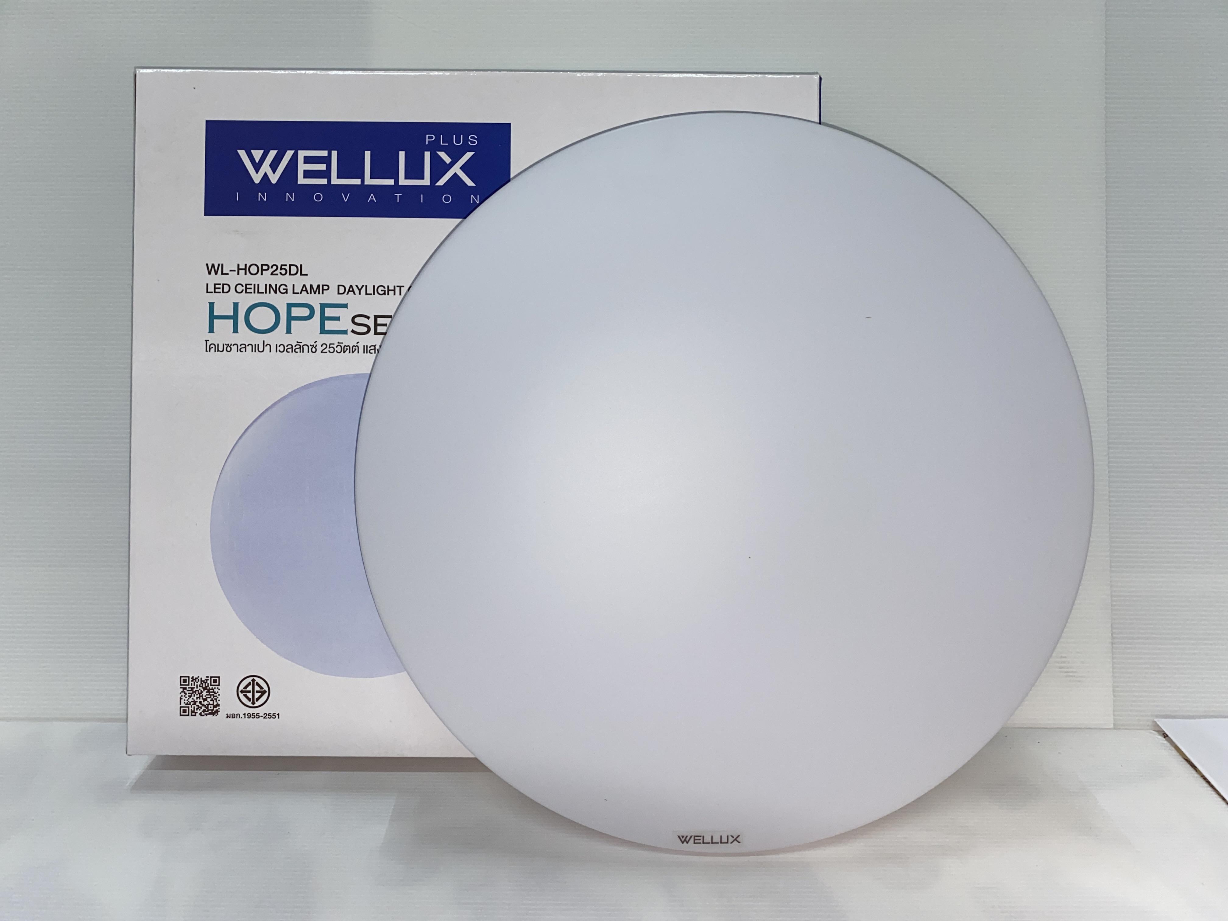 WELLUX โคมซาลาเปา HOP 25วัตต์ ลายเรียบ แสงขาว