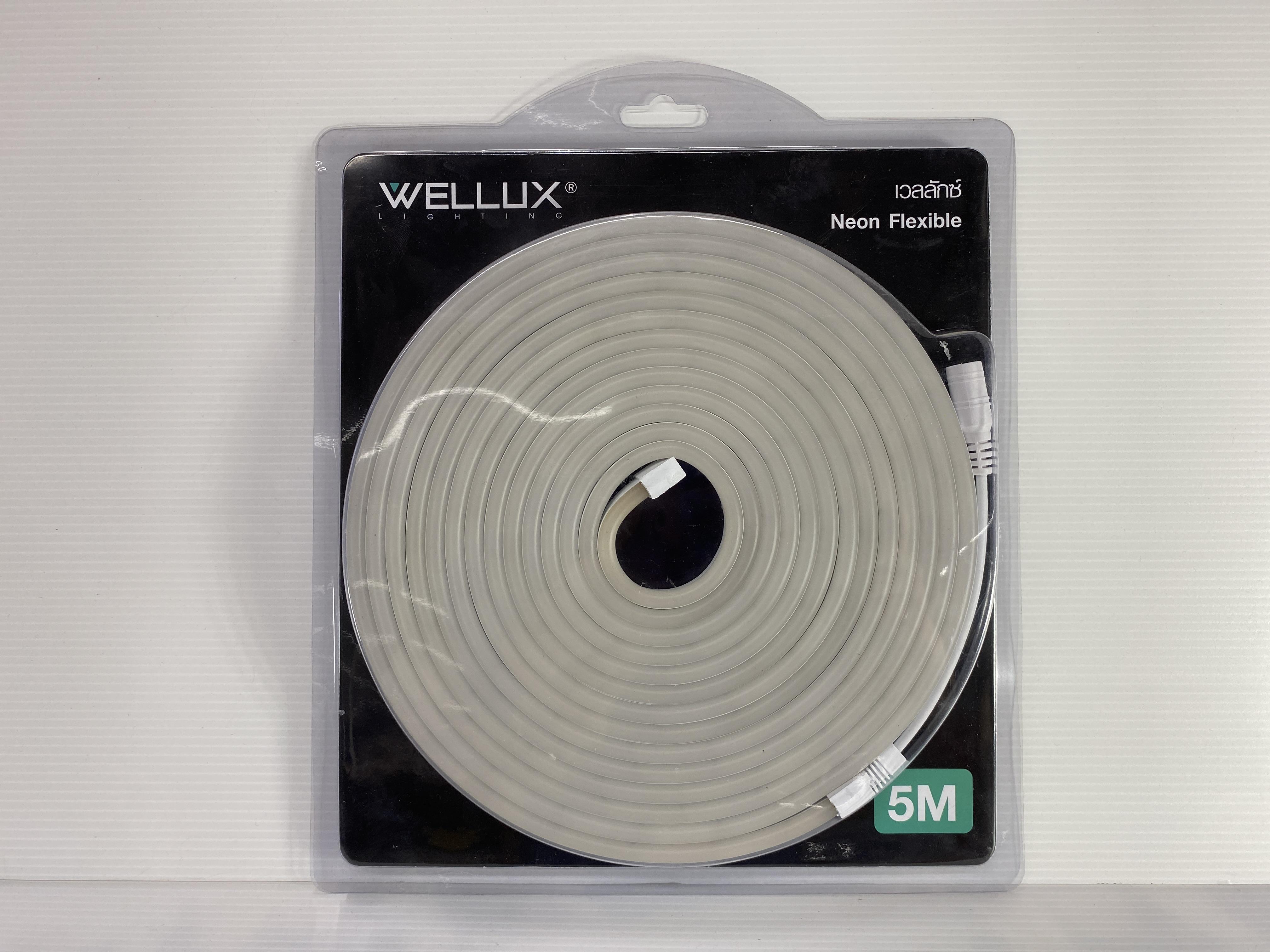WELLUX นีออนเฟล็ก 12V-5 เมตร เดย์ไลท์