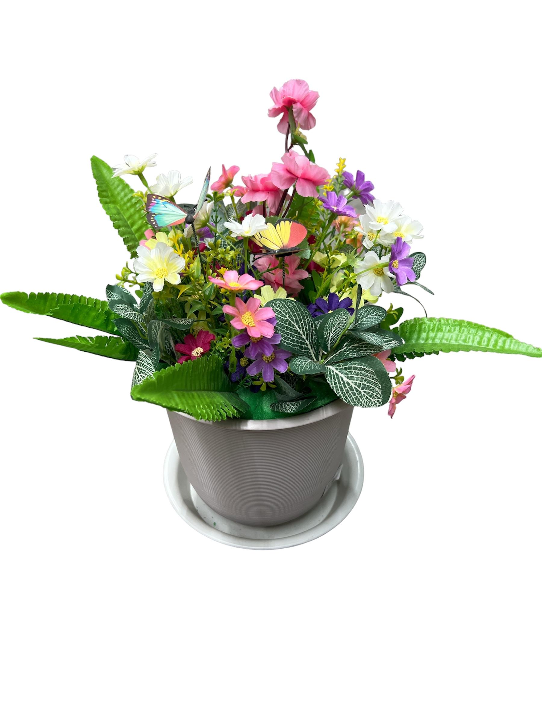 ชุดกระถางดอกลาเวนเดอร์+เดซี่ - การเกษตร ราคา 290 บาท