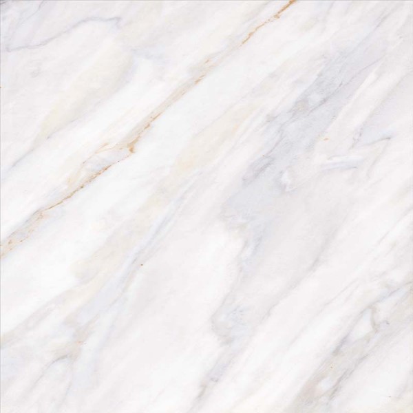 กระเบื้อง 30 x 30 ซม. ไก่รีวิว (D) DYNASTY