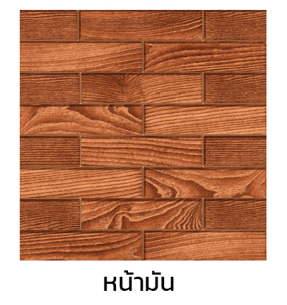 กระเบื้อง 30 x 30 ซม. ไก่ลาดพร้าว (D) DYNASTY