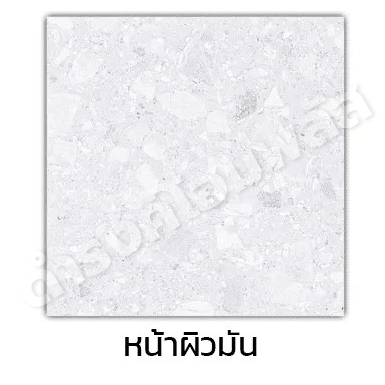 กระเบื้อง 40 x 40 ซม. ผิวมัน นกโซลคลู DYNASTY