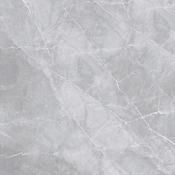 กระเบื้อง 45 x 45 ซม. ผิวมัน ไอลีน-เทาเข้ม (C) COTTO