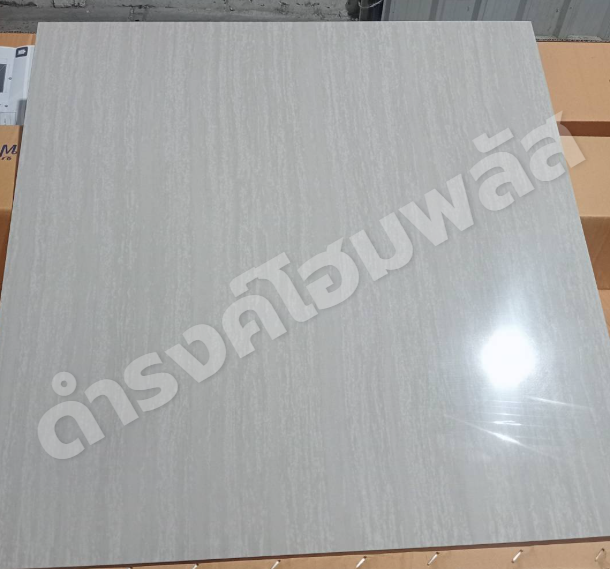 กระเบื้อง 60 x 60 ซม. รุ่น 6000 Polished(ขัดเงา) EASTMAN