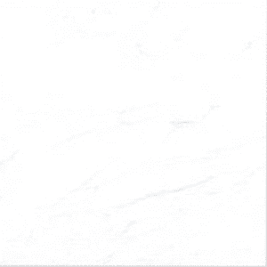 กระเบื้อง 60 x 60 ซม. นีโอ ผิวเงา(A) JAGUAR - ภาพที่ 2