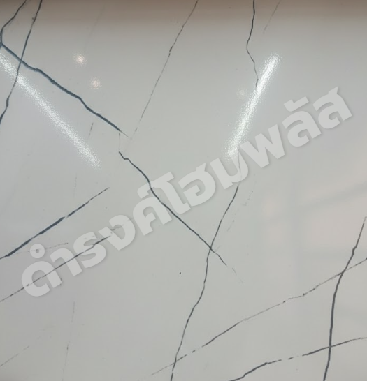 กระเบื้อง 60 x 60 ซม. สายวิหค (C) Premium Home แบรนด์ SCG CERAMIC - ตกแต่ง ราคา 273 บาท