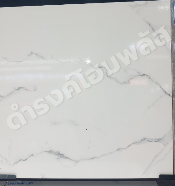 กระเบื้อง 60 x 60 ซม. เพชรไพลิน-ขาว (C) SOSUCO