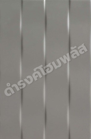 กระเบื้องผนัง 25 x 40 ซม. ลินซ์ (II) เทา (HYG) GC WT COTTO - ภาพที่ 2