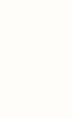 กระเบื้องผนัง 25 x 40 ซม. ขาว(II) (C)(A) CAMPANA