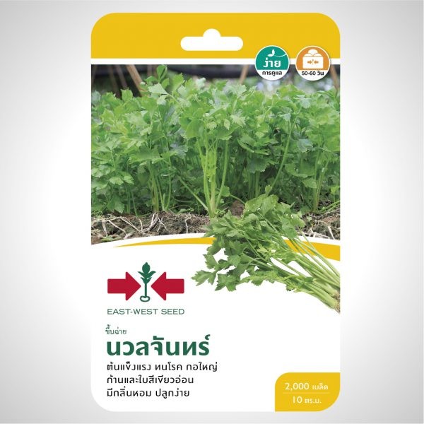 ศรแดง GG นวลจันทร์ ขึ้นฉ่ายศรแดง แบรนด์ ศรแดง - การเกษตร ราคา 119 บาท