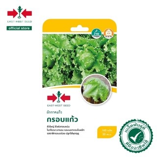 ศรแดง GG ผักกาดแก้วกรอบแก้ว (160S TH) แบรนด์ ศรแดง - การเกษตร ราคา 119 บาท