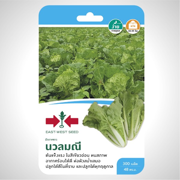 ศรแดง GG ผัดกาดขาว นวลมณี (300S TH) แบรนด์ ศรแดง - การเกษตร ราคา 119 บาท