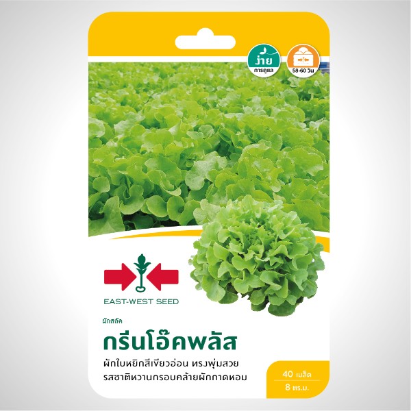 ศรแดง GG สลัด กรีนโอ๊คพลัส แบรนด์ ศรแดง - การเกษตร ราคา 119 บาท