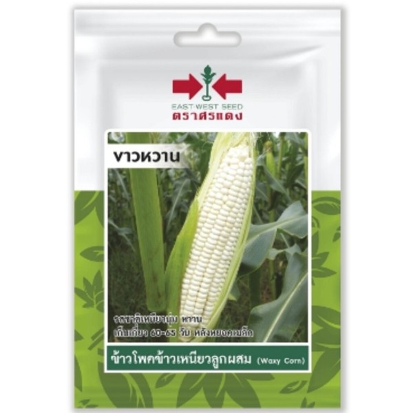 ศรแดง SV ข้าวโพดข้าวเหนียวF1 ขาวหวาน (เม็ดเคลือบ) (VP38 20S TH) แบรนด์ ศรแดง - การเกษตร ราคา 10 บาท
