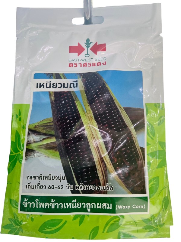 ศรแดง SV ข้าวโพดข้าวเหนียวลูกผสมเหนียวมณี (เมล็ดเคลือบ) (VP42 20S TH) แบรนด์ ศรแดง - การเกษตร ราคา 39 บาท