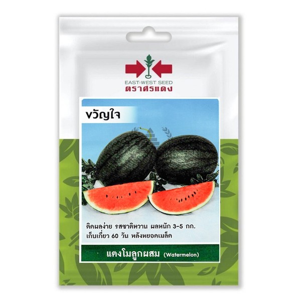ศรแดง SV แตงโมลูกผสม ขวัญใจ (VP15 10S TH) แบรนด์ ศรแดง - การเกษตร ราคา 39 บาท