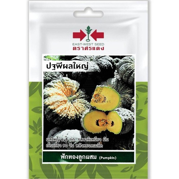 ศรแดง SV ฟักทองลูกผสม ปฐพี (VP18 10S TH) แบรนด์ ศรแดง - การเกษตร ราคา 39 บาท