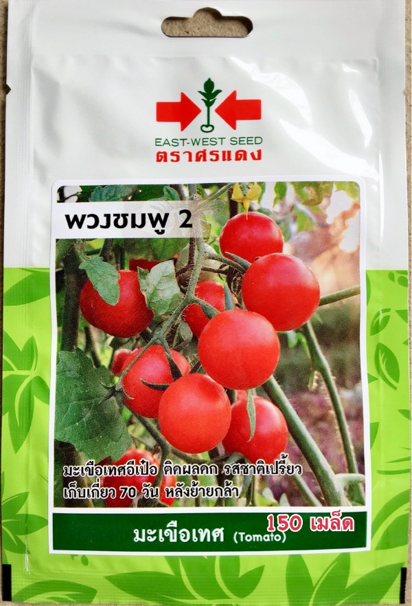 ศรแดง SV มะเขือเทศอีเป่อ พวงชมพู2 (VP54 150S TH) แบรนด์ ศรแดง - การเกษตร ราคา 39 บาท