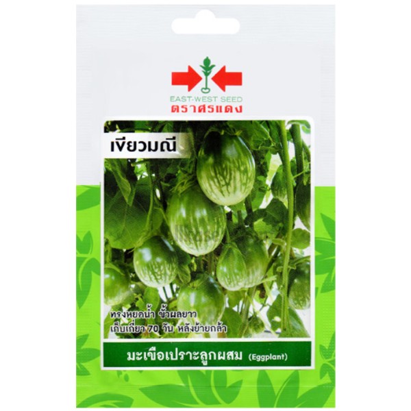 ศรแดง SV มะเขือเปราะคางกบลูกผสม เขียวมณี (VP61 50S TH) แบรนด์ ศรแดง - การเกษตร ราคา 39 บาท
