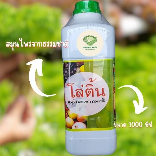 Hydroponic โล่ติ้น 1L