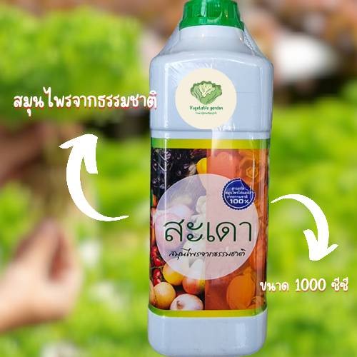 Hydroponic สะเดา 1L