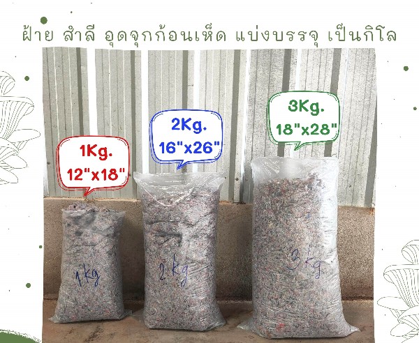 THAI GREEN สำลีเทา อุดก้อนเห็ด10กก. แบรนด์ ชมรมเกษตร ไทยกรีน - การเกษตร ราคา 240 บาท