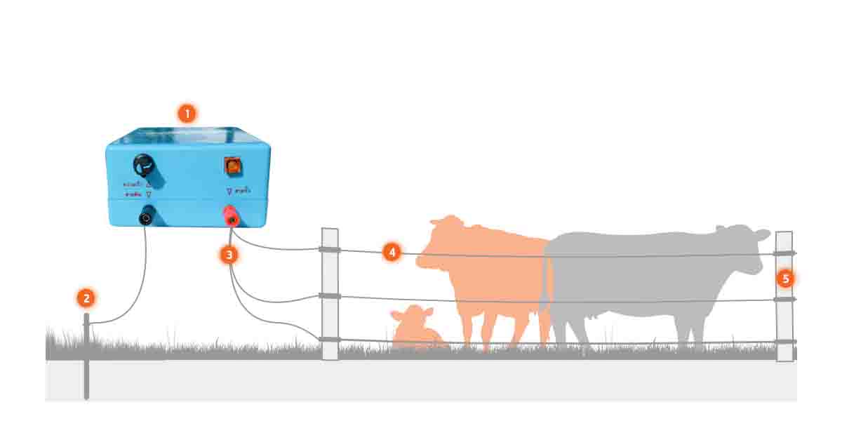 ตราวัวลาย เครื่องควบคุมรั้วไฟฟ้า AC-DC 2ระบบ (ไฟล้อมวัว) - ภาพที่ 2