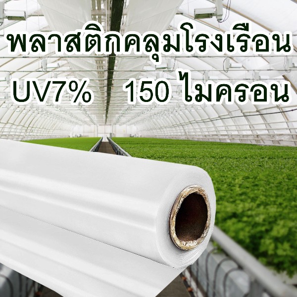 ฉลาม พลาสติกโรงเรือน UV7% 150 ไมครอน 3.5X5 เมตร แบรนด์ ฉลาม มงกุฎ คงสวัสดิ์ - การเกษตร ราคา 359 บาท