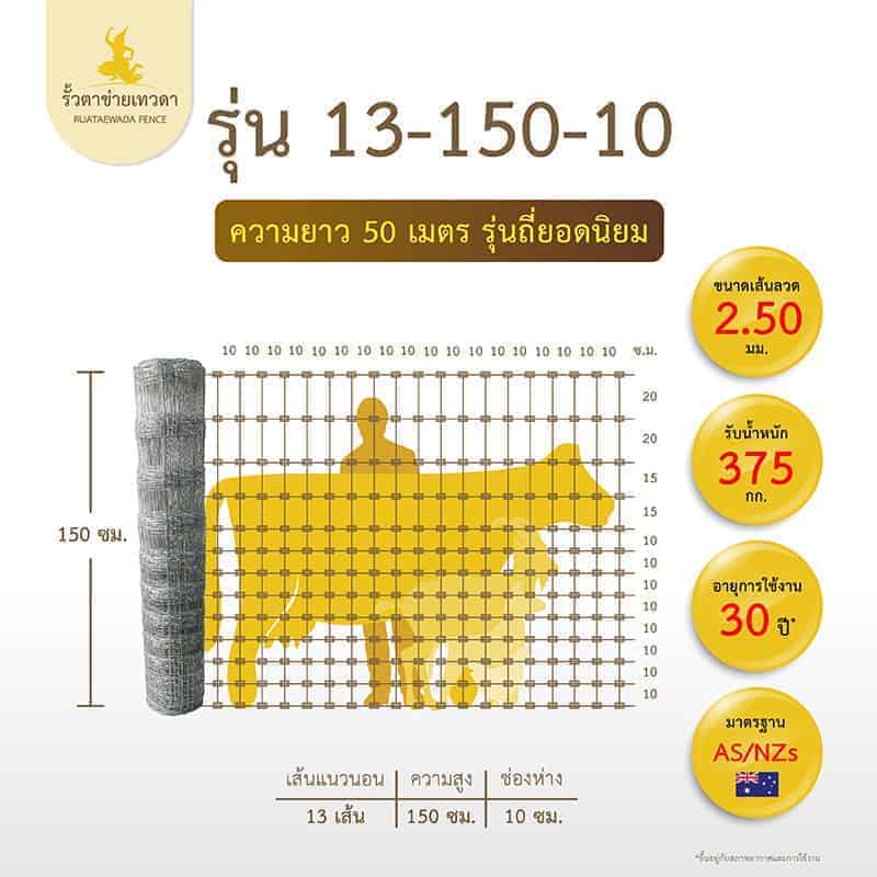 ตาข่ายถักปมเทวดารุ่น 13-150-10 ยาว 50เมตร
