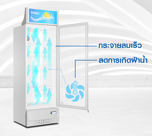 Haier ตู้แช่เย็น 1 ประตู 7.6 คิว รุ่น SC-240BC-V3 - ภาพที่ 7